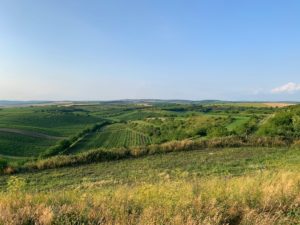 CYKLOSTEZKA: Podluží, Nechory, Čejkovice